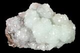 Lustrous Hemimorphite Crystal Cluster - Congo #148482-1